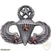 Army Combat Parachutist Badge Master - 3rd Award img40490