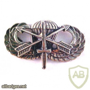 Special Forces Prototype Qualification badge img40513