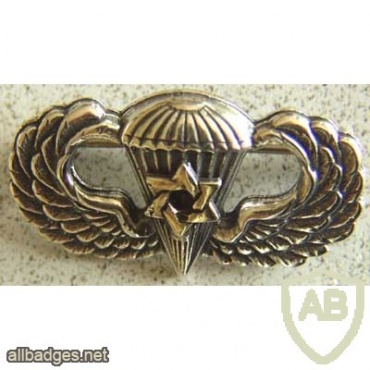 Jewish Chaplain Paratrooper Wing Sterling img40517