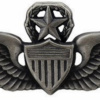 Army Aviator Badge master