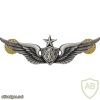 Army Aviation (Aircraft Crewman) Badges senior