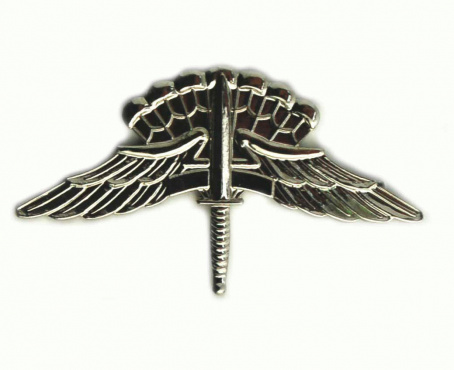 Army Freefall Parachutist Badge img40562