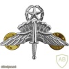 Army freefall parachutist master img40560