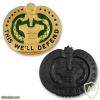 Army Drill Sergeant Identification Badge img40547