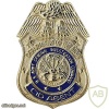 Army Criminal Investigation Command Special Agent Badge