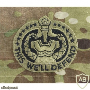 Army Drill Sergeant Identification Badge, cloth img40550