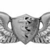 Army Flight Surgeon Badge