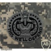 Army Drill Sergeant Identification Badge, cloth