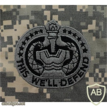 Army Drill Sergeant Identification Badge, cloth img40549