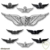 Army Flight Surgeon Badges