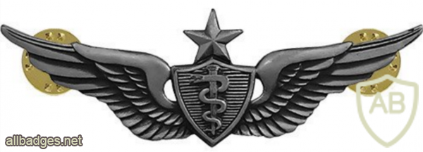 Army Flight Surgeon Badge Senior img40559