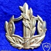 דרגת יד רס''ר (רב סמל ראשון) - חיל הים      