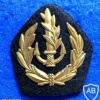 סמל כובע נגדים חיל הים 1955-1970 img40613