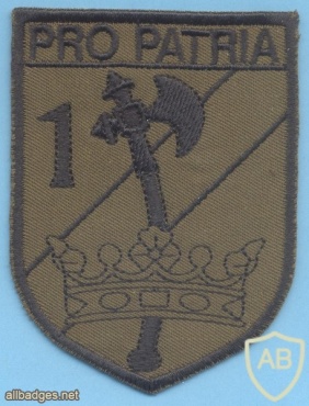 HUNGARY Defence Force 88th Rapid Reaction Battalion, 1st Company sleeve patch, subdued img40623