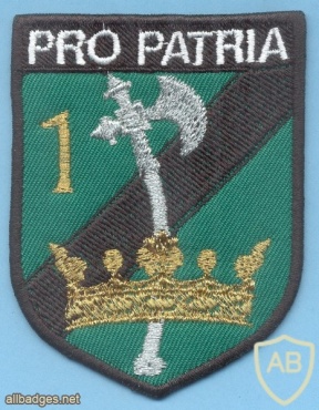 HUNGARY Defence Force 88th Rapid Reaction Battalion, 1st Company sleeve patch, full color img40622