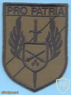 HUNGARY Defence Force 88th Rapid Reaction Battalion, Combat Support sleeve patch, subdued img40629