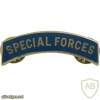 Army Special Forces Tab, metal img40675