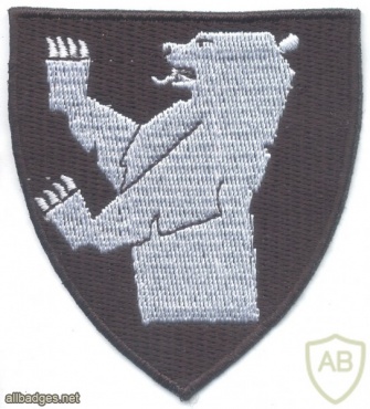 NORWAY - Norwegian Army 6th Brigade sleeve patch, 1983-present img40647