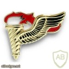 US Army Pathfinder Parachutist Badge, subdued img40668