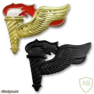 US Army Pathfinder Parachutist Badge, subdued img40667