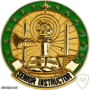 Army Instructor Identification Badge, Senior