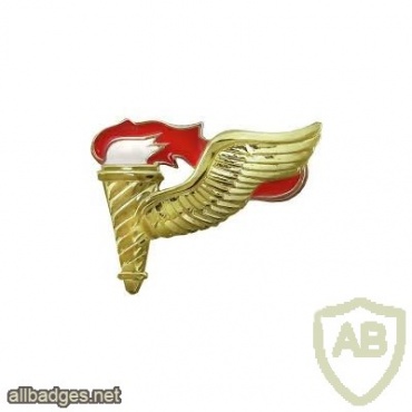 US Army Pathfinder Parachutist Badge, subdued img40669