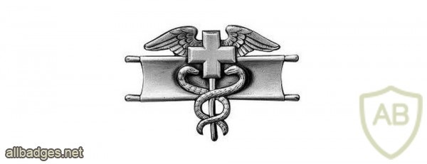 Expert Field Medical Badge img40698
