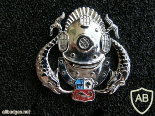 Peru Navy Senior diver badge  (silver) img40755