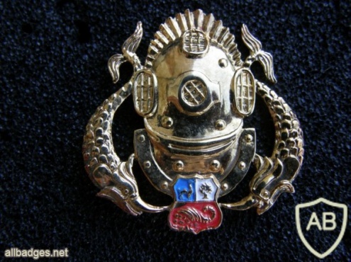 Peru Navy Senior diver badge ( gold ) img40754