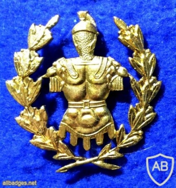 Engineers school cap badge, gold img40804