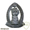 SANDF Armoured Corps beret badge  img40816