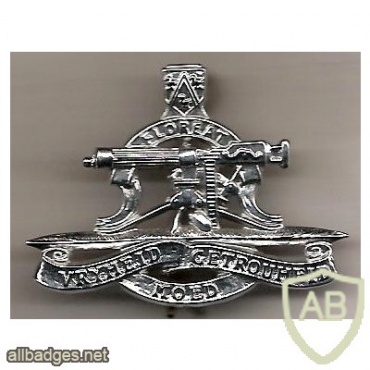 SOUTH AFRICA Regiment President Steyn cap badge, 2nd type img40835