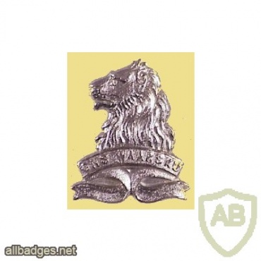 SOUTH AFRICA Regiment de la Rey cap badge, late type img40834