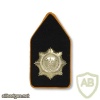 Regiment van Heutsz collar badge