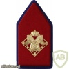 Support units collar badge