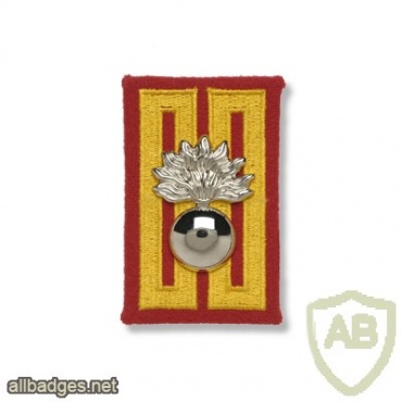 Grenadiers' regiment collar badges img40842