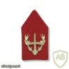 Regiment Stoottroepen Prins Bernhard collar badge