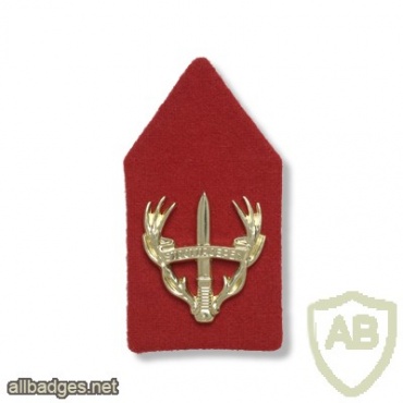 Regiment Stoottroepen Prins Bernhard collar badge img40846