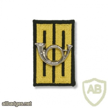Rifles Guards Regiment collar badges img40843