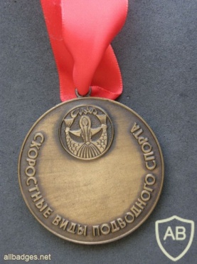 VI European Championship medal img40861