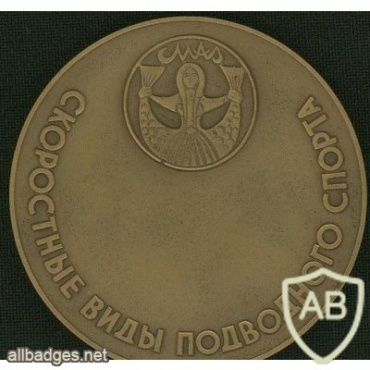 VI European Championship commemorative medal img40863