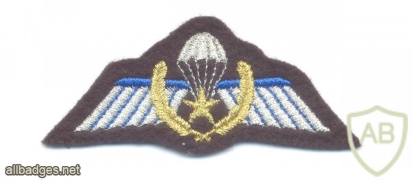 NETHERLANDS Army DT 2000 Parachutist A Brevet combat jump wings, mess dress, full color img40884