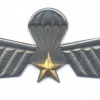 NETHERLANDS Army 104th Reconnaissance and Observation Company parachutist wings