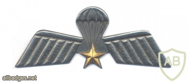 NETHERLANDS Army 104th Reconnaissance and Observation Company parachutist wings img40887