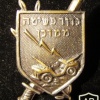 The 9th battalion of the negev brigade