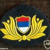 Serbian police hat patch, 1990-2000 img40892