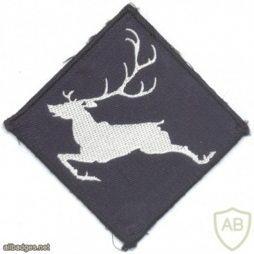 NORWAY - Norwegian Army Northern Brigade sleeve patch, 1955-1983 img40928