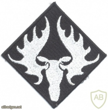NORWAY - Norwegian Army Southern Brigade sleeve patch, 1955-1983 img40930
