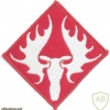 NORWAY - Norwegian Army 1st Division sleeve patch, 1955-1957