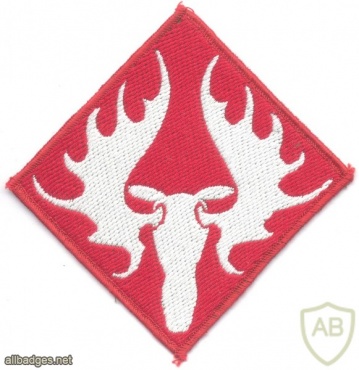 NORWAY - Norwegian Army 1st Division sleeve patch, 1955-1957 img40929